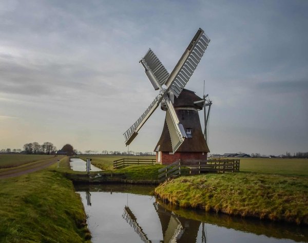 Technologies vertes pour le traitement de l'eau